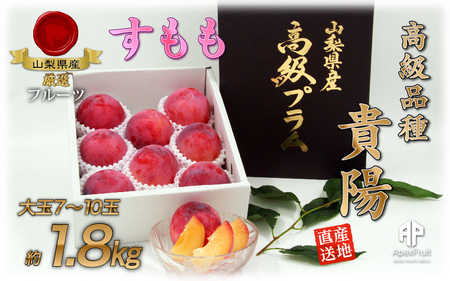 【2026年発送先行予約】 南アルプス市産　『貴陽』　特選大玉約1.8kg（7～10玉） ALPDD014