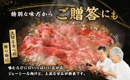 【6か月定期便】宮崎牛バラエティ定期便_Tk031-t023