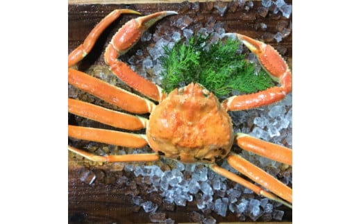 【魚倉】足１本なしボイル松葉ガニ(並５００ｇ)訳あり