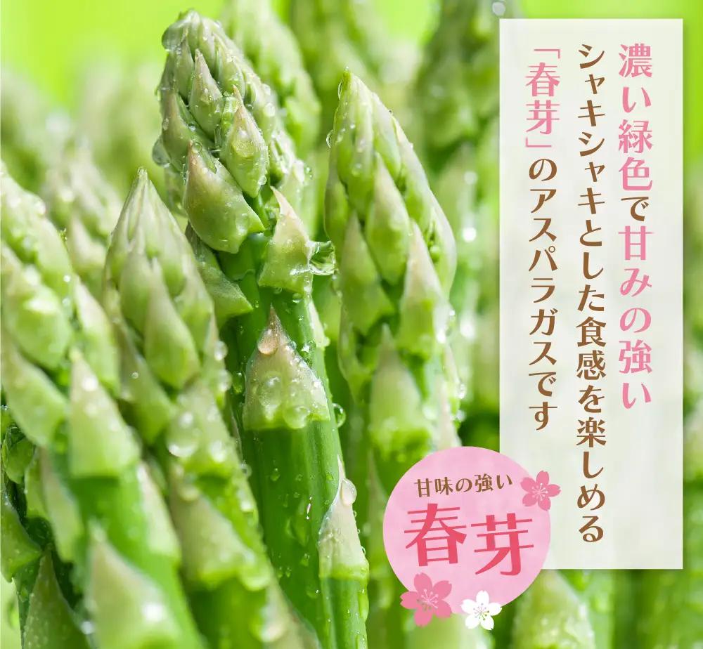 Z61-191-01 清流・有機肥料使用 アスパラガス(春芽) 1kg(M) 【2027年4月より順次配送開始】 