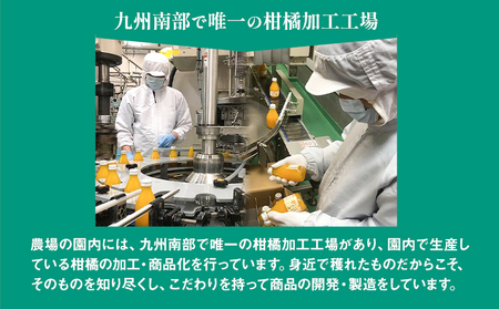 オレンジジュース 九州まるごとしぼり デコポン ストレートジュース 12本セット 1本あたり180ml《30日以内に出荷予定(土日祝除く)》