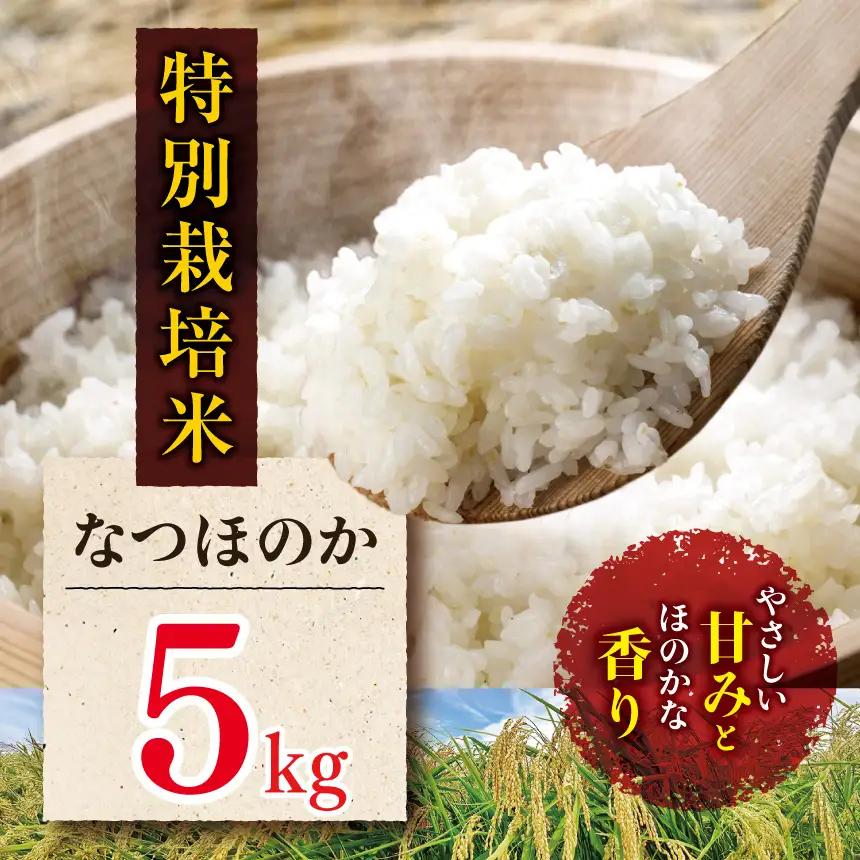 特別栽培米 なつほのか 5kg | お米 精米 白米 単一米 ご飯 国産米 5キロ 大分県産 九州産 大分県 中津市