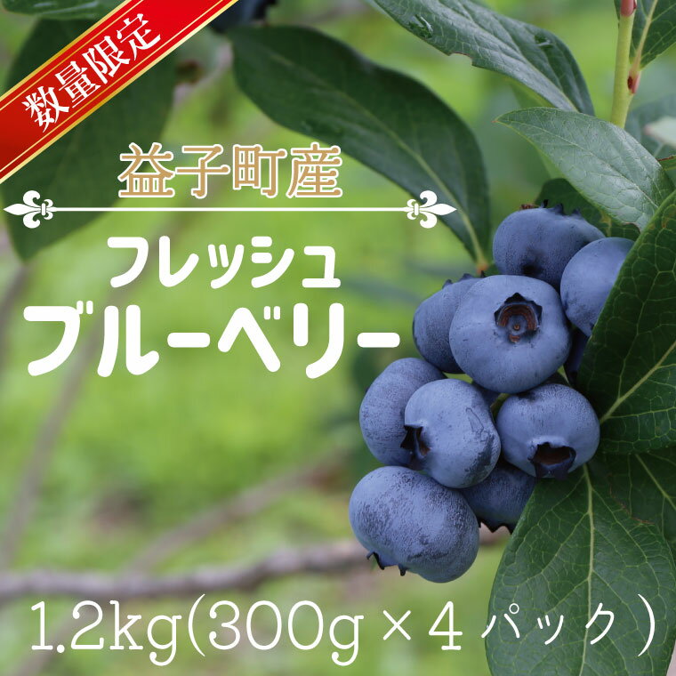 【ふるさと納税】＼数量限定／ 益子町産 フレッシュブルーベリー 1.2kg (300g×4パック) | ブルーベリー フルーツ 新鮮 旬 期間限定 ハイブッシュ系 大粒 ジューシー スムージー (AA019-1)