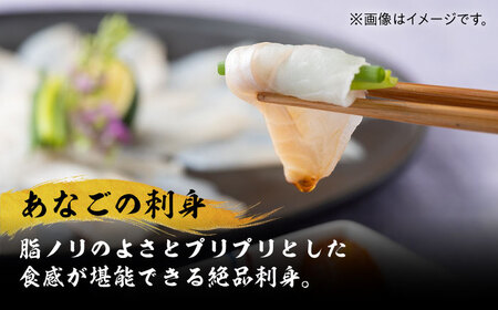 【全6回定期便】べっぴんあなご・トロの華の詰め合わせ対馬 新鮮 マグロ 鮪 赤身 中トロ 大トロ アナゴ 穴子 魚介 刺身 鮮度抜群 ご褒美  [WAQ010]