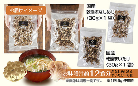 DE106 乾燥きのこ　2種セット（ぶなしめじ・まいたけ）／国産 乾燥 ぶなしめじ 30g  舞茸 30g 各1袋 ブナシメジ まいたけ マイタケ ドライ きのこ キノコ 無添加 国産 だし 時短 ダ