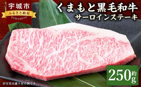 ステーキ くまもと黒毛和牛 サーロインステーキ 250g  牛ステーキ 牛肉 和牛ステーキ サーロイン 熊本 冷凍ステーキ