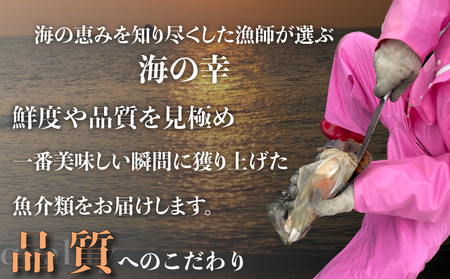 愛知県産平貝(タイラギ)ステーキ貝柱2個入　4パック [配送不可地域：離島]