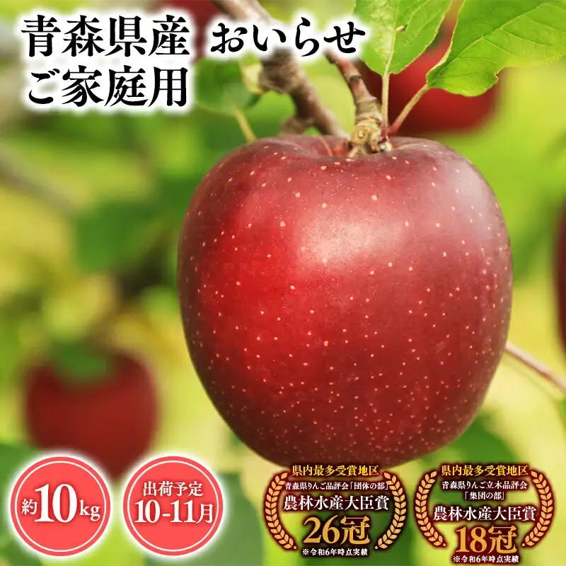 りんご 家庭用 おいらせ10kg りんご