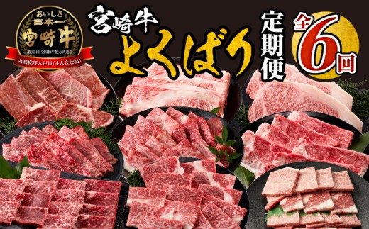 宮崎牛よくばり定期便全6回_M399-T001-6-1