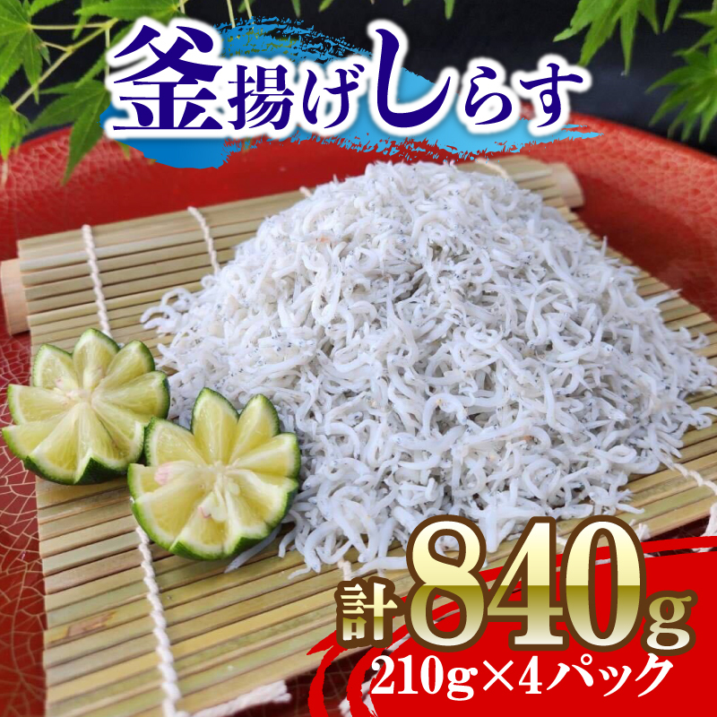 しらす 840g ( 210g×4パック ) 冷凍 国産 徳島県 しらす丼 魚 パスタ スパゲティサラダ 卵焼き お取り寄せ グルメ 人気 おすすめ