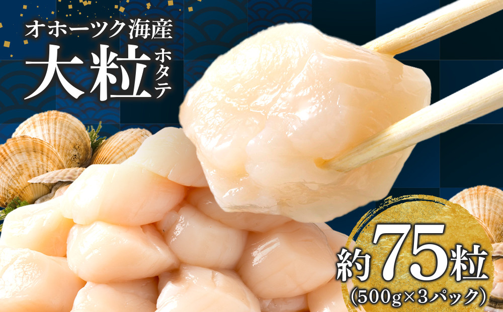 
ほたて 貝柱 大粒 冷凍 500ｇ(20～25粒前後)×3パック お取り寄せ 刺身 《横田水産》
