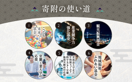 【返礼品なし】北海道室蘭市・応援寄附1,000円（寄附のみの応援受付 ※返礼品はございません） MROBR001