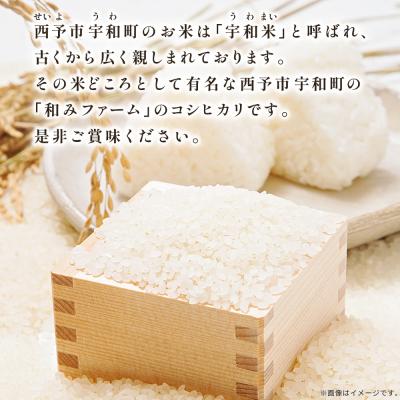 ふるさと納税 西予市 新米<令和7年産 愛媛県西予市産 コシヒカリ 田んぼダム米 5kg選べる 5キロ こしひかり |  | 03