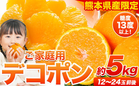 デコポン 約5kg ご家庭用 デコポン 訳あり 熊本