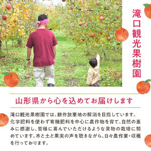 果肉たっぷり果樹園の手作りジャムセット 7個入り 山形県 東根市 滝口観光果樹園提供 hi030-049 （果物 ジャム 手作り 東根産 ご当地 送料無料 ふるさと納税 人気 フルーツ 果物 朝食 山