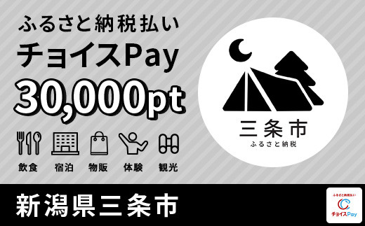 
三条市チョイスPay 30,000pt（1pt＝1円）会員限定のお礼の品【100P012】【会員限定のお礼の品】
