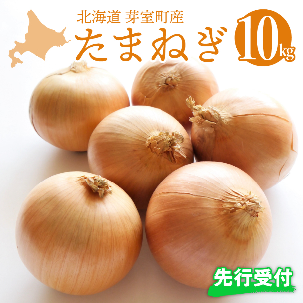 【先行受付】【2026年10月より配送予定】北海道十勝芽室産 たまねぎ10kg 1箱 me002-023-26c