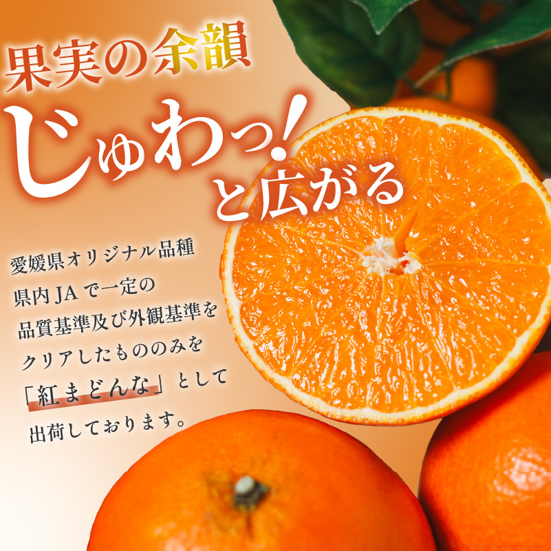 【先行予約】紅まどんな JAえひめ中央 正規化粧箱入 等級：青秀以上 JA 紅まどんな 紅マドンナ まどんな マドンナ みかん ミカン 蜜柑 果物 くだもの フルーツ 柑橘 柑橘類 かんきつ 愛媛果試