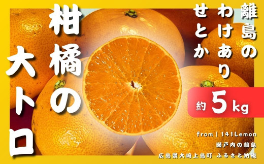 [予約] 3月発送 瀬戸内わけありせとか約5kg 糖度14度 国産 せとうち 広島 大崎上島 柑橘 訳あり 果物 フルーツ 産地直送 141Lemon