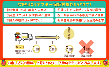 暖家のいちご　ギフト用完熟あまおう（８粒～９粒）×2パック 3Z1-S