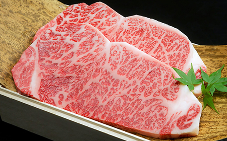 【期間限定】特選近江牛定期便（３カ月）竹コース（近江牛マスター上級編）【ZZ45U】