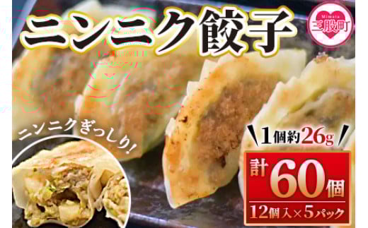 【数量限定！】＜ニンニク餃子(12ヶ入×5パック)＞ ギョウザ ぎょうざ ギョーザ にんにく 大蒜 冷凍 惣菜 弁当 焼くだけ おつまみ 簡単調理 中華 グルメ 【MI282-fu】【福栄生餃子店】