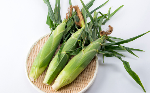 【期間限定】安芸太田町産とうもろこし(ゴールドラッシュ) Lサイズ以上15本!【配送不可地域:離島】