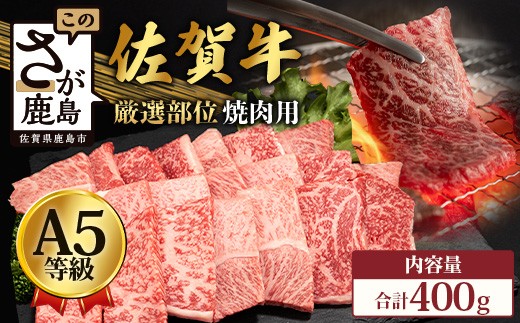 
                  【配送月を選べる】A5等級 佐賀牛 焼肉用 400g 厳選部位 牛肉 肉 黒毛和牛 和牛 焼肉 焼き肉 焼肉セット ロース モモ ウデ バラ ブランド牛 A5ランク a5 佐賀県 鹿島市 B-616
                