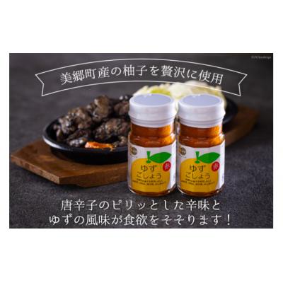 ふるさと納税 美郷町 調味料 赤ゆずごしょう 60g×2本 セット 春夏秋冬いっつもや 宮崎県 [31ab0105] |  | 01