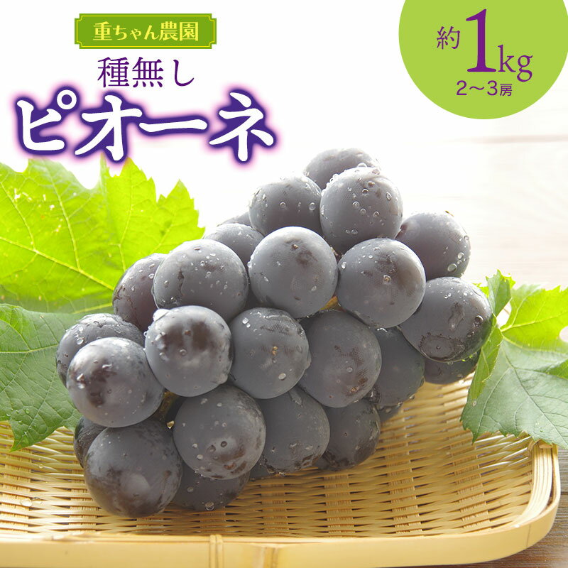 【ふるさと納税】【令和7年産先行予約】種なしピオーネ 1kg(2〜3房）ぶどう
