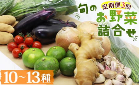 定期便3回コース 高知県香南市産 旬のお野菜詰合せ(10～13品目)【季節野菜 新鮮 定期便 旬野菜  定期便 産地直送やさい 朝採れ野菜 野菜定期便】 Wpr-0008