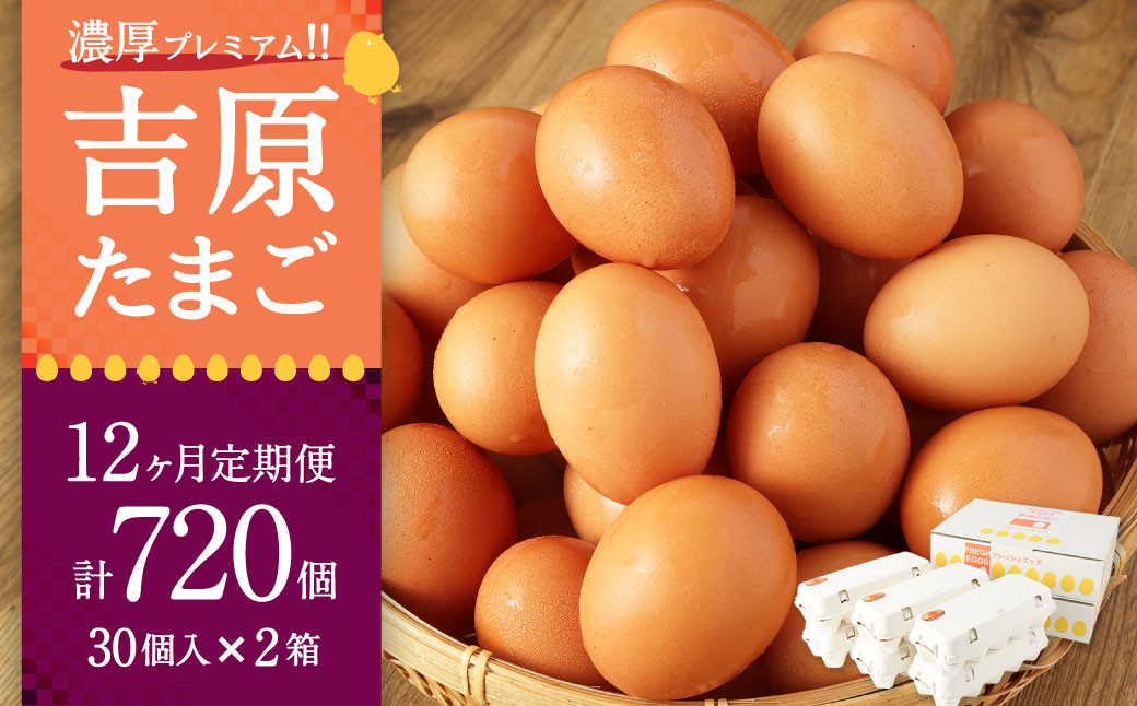 
            G-9 【12ヶ月定期便】濃厚プレミアム！！吉原たまご2箱 30個入り×2箱 計60個 卵 たまご
          