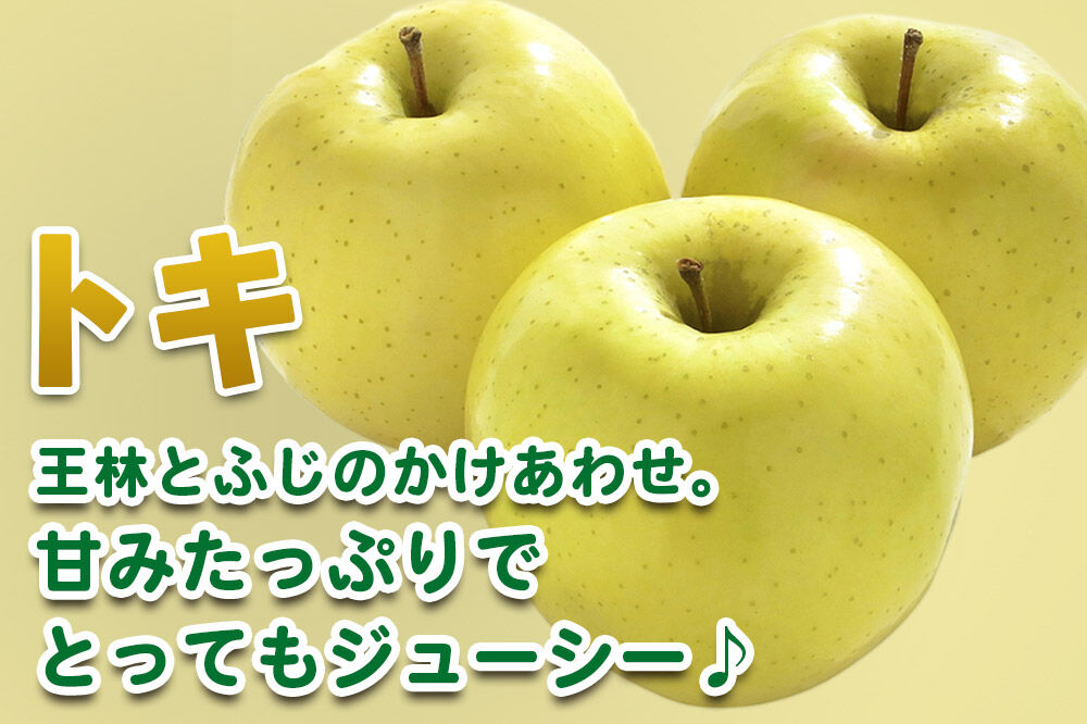 【先行受付 9月下旬より発送】りんご トキ 約2kg（4～6玉） [先行予約 トキ りんご アップル おいしい 果実 果物 黄色 美味 林檎]