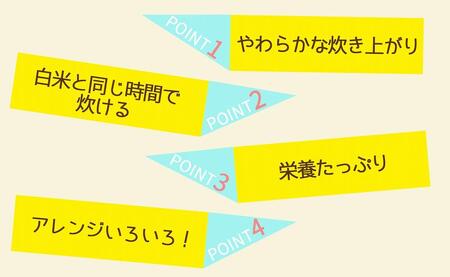 【定期便全6回】【栄養機能食品】白米と同じように炊けるやわらかい玄米 新潟県産コシヒカリ 900g×4袋（受注の翌月から毎月配送）