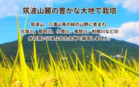 令和5年産 茨城県産 無洗米コシヒカリ　精米　合計20kg（5kg×4袋） ※着日指定不可 ※離島への配送不可