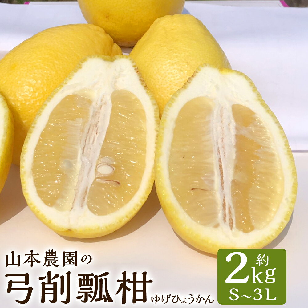 【ふるさと納税】山本農園の珍果　弓削瓢柑（ゆげひょうかん）2kg フルーツ 果物 柑橘 みかん ひょう柑 佐賀県 太良町 L74x1 【2027年3月上旬～4月下旬】