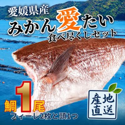 ふるさと納税 今治市 みかんの風味が詰まった愛媛県の公認ブランド 「みかん愛たい」食べ尽くしセット