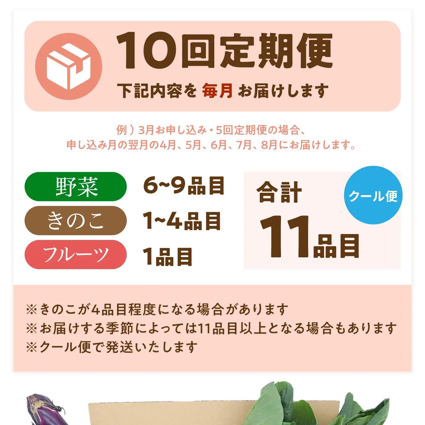 【毎月コース】野菜 キノコ 果物 11品目 詰め合わせ 10回 定期便  / 南島原市 / 吉岡青果[SCZ036]