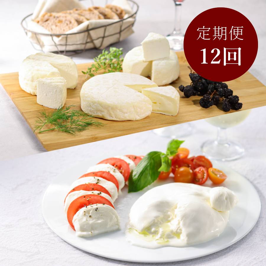 ＜Lactoserum＞「フレッシュ＆熟成チーズ」5種（モッツアレラ・ブッラータ・つやこフロマージュ・ツツー他）計580g【12ヵ月定期便】