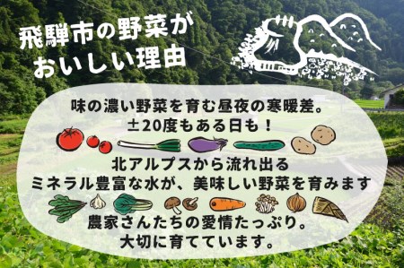 【訳あり】《先行予約》令和7年産 きたあかり 約4kg 馬鈴薯 じゃがいも サイズばらばら 飛騨産 国産 キタアカリ ジャガイモ 野菜 化学肥料不使用栽培 飛騨産[Q1112wxre] 