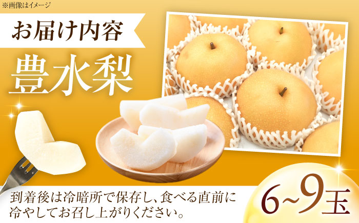 フルーツ松本の豊水梨(ほうすいなし) 6～9玉入り 〈2026年9月～発送〉 ／ フルーツ 果物 くだもの 食品 人気 おすすめ 送料無料 梨 なし 豊水梨 季節のフルーツ 【株式会社内子フレッシュパ