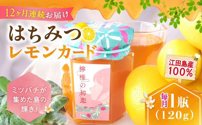 【全12回定期便】いつもの朝食を特別に！江田島はちみつレモンカード『檸檬の初恋』120g×1本 れもん ハチミツ ハニー バター 蜂蜜 広島県 江田島市/はつはな果蜂園 [XCD014]