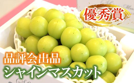 
品評会出品 【優秀賞】 シャインマスカット 1房 (約750g以上) 《令和6年9月21日一斉発送》 『JA山形おきたま』 南陽市農業祭 大粒ぶどう品評会 山形県 南陽市 [1624]
