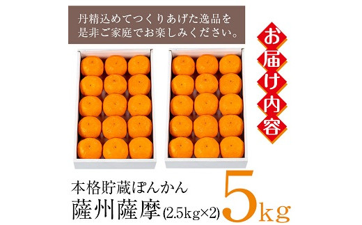 ＜先行予約受付中！2026年1月中旬頃より順次発送予定＞《期間限定・数量限定》鹿児島県産薩州薩摩(厳選ぽんかん)(約5kg・2.5kg化粧箱×2箱) 国産 みかん ミカン 蜜柑 ポンカン 柑橘 冬季 