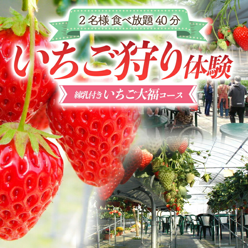 いちご狩り体験 2名様 食べ放題40分 練乳付き いちご大福コース 【現地体験型】 利用券 チケット 観光 旅行 イチゴ 苺 F4H-0032