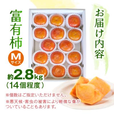 ふるさと納税 橋本市 ケーズファーム 富有柿 M 14個程度(約2.8kg) |  | 03