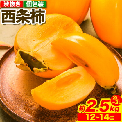 西条柿 2.5kg 個包装 (12玉～14玉) 特秀 ～ 赤秀 JA鳥取いなば《2025年10月下旬-11月末頃出荷予定》渋抜き 2L～3L 柿 かき カキ フルーツ 果物 くだもの 青果物 鳥取県 八頭町