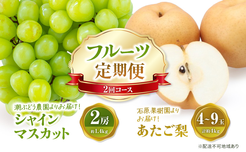 シャインマスカット あたご梨 フルーツ 定期便 2回 コース ぶどう 梨 岡山 果物 先行予約 2026年 岡山県 なし ナシ 人気 新鮮 ギフト 旬