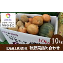 【ふるさと納税】かみふらの産秋野菜（じゃがいも・玉葱・かぼちゃ）詰合せ約10kg　野菜・玉ねぎ・たまねぎ・じゃがいも・玉葱・かぼちゃ・野菜詰合せ　お届け：2024年10月中旬～11月中旬