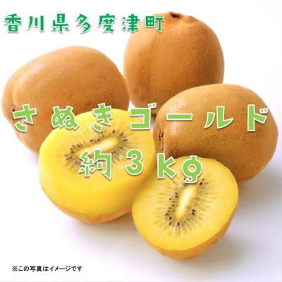ふるさと納税 多度津町 香川県オリジナルキウイフルーツ『さぬきゴールド』約3kg【B-17】